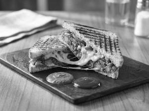 Veg Cheese Sandwich (grilled)