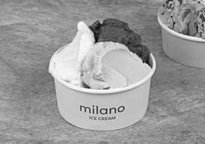Gelato To Go 250Gm ( 3 Flavours)