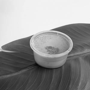 Caramel Custard Pudding