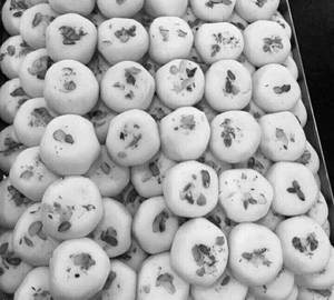 Peda