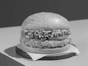 Crispy Garden Burger