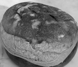 Sourdough Loaf Bread