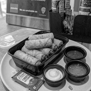 Veg Spring Rolls