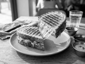Chicken Cheese SANDWICH (grilled)