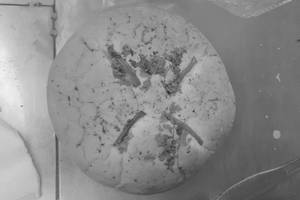 Pizza Masala Bun
