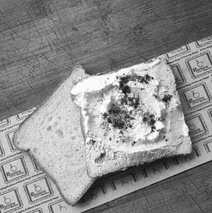 Plain Milk Bread