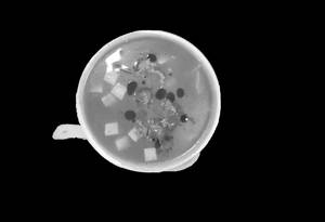 Tom Yum Soup