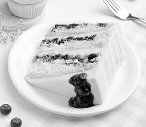 BLUEBERRY CRUMBLE CAKE SLICE