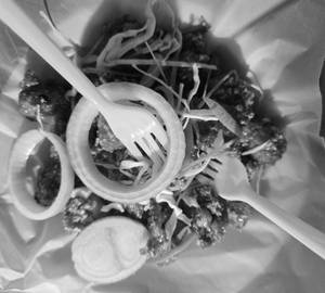 Veg manchuria