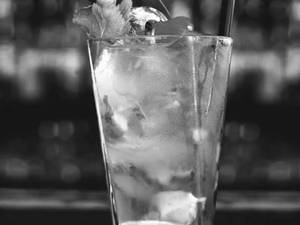 Cranberry Mojito