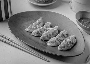 Pan Seared Garden Momos