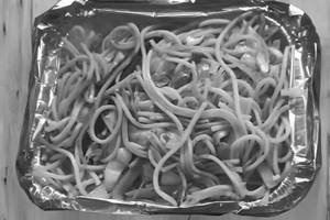 Singapore Egg Noodles
