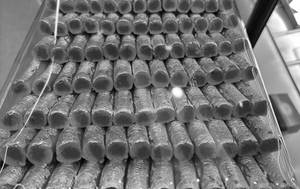 Kaju Pista Roll