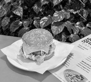 Spicy Paneer Burger