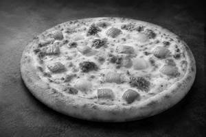 Onion cheese pizza