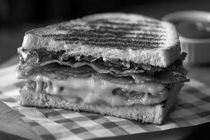Veg Cheese Sandwich