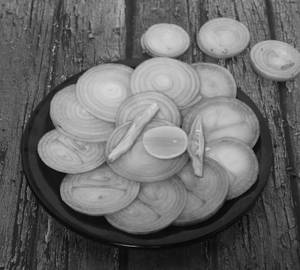 Onion Salad
