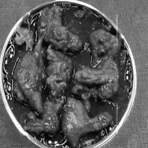 Chicken Chilly