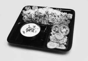Paneer Cheese Pulav