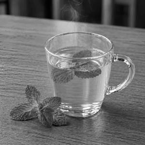 Mint Green Tea