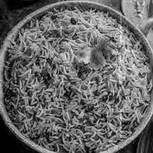 Jeera Rice
