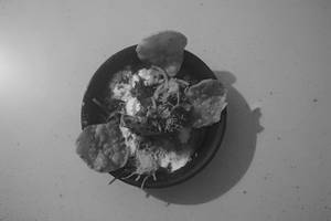Cutlet Chaat