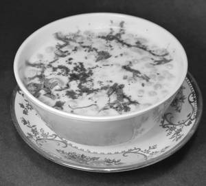 Plan Raita Bundi  ( 250 Gm Pkd )