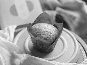 Fruit Muffin
