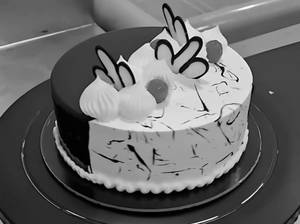Choco vanilla cake