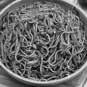 Veg Chilly Garlic Noodles