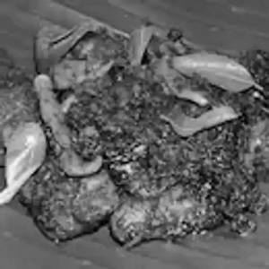 Chicken Dry Fry [8 Pieces]
