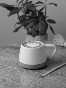 Classic Matcha (hot)
