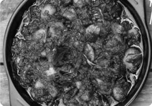 Mushroom Pallipalayam