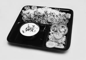 Tava Pulav Cheese
