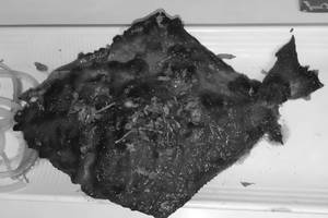Tandoori Pomfret [1 Piece]