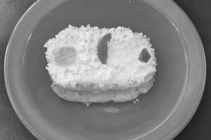 MALAI TOAST
