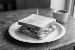 Regular Sandwich