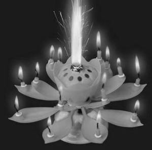 Lotus Candle Music