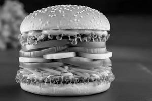 Garden Burger