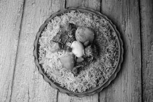 Special Chicken Biryani