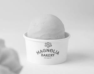MANGO SORBET