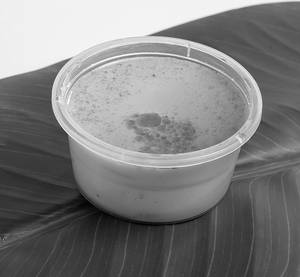 Caramel Custard Pudding