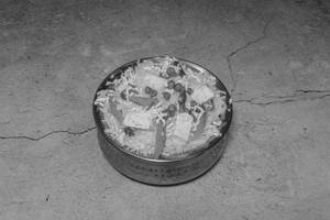 Paneer Sahi Pulao