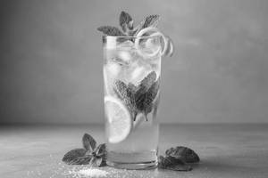 Mint Lime Mojito