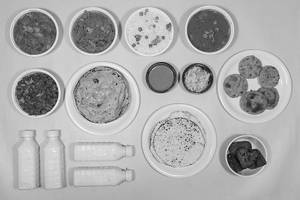 Gujarati Thali [Serves 2-3]