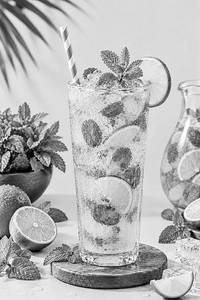 Mint Lime Mojito