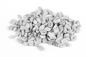 Roasted Peanuts
