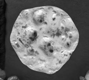 Garlic Parantha