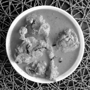 Chicken Gassi
