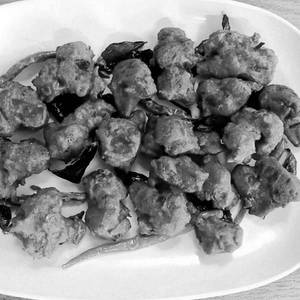 Gobi 65